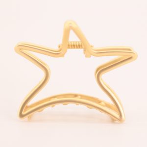 Pinza estrella dorado/plata
