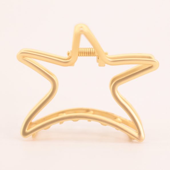 Pinza estrella dorado/plata